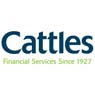 Cattles plc