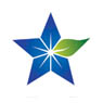 BlueStar Energy Services, Inc.