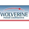 Wolverine Power Supply Cooperative, Inc.