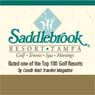 Saddlebrook Resorts, Inc.