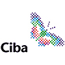 Ciba Specialty Chemicals Holding Inc.
