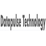 Datapulse Technology Limited