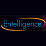 Entelligence LLC