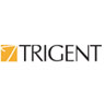 Trigent Software, Inc. 