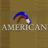 American Oil & Gas Inc.