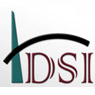 DSI Holding Company, Inc