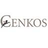 Cenkos Securities plc