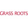 The Grass Roots Group PLC