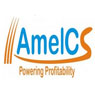 Ameliorate Corporate Solutions Private Limited