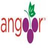 Angoor Pharmaceuticals Pvt. Ltd.