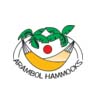 Arambol Hammocks