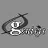 Genisys It Initiative Pvt. Ltd.