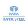 tata iron and steel company