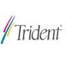 Trident Microsystems (India) Private Limited