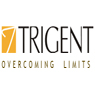 Trigent Software Ltd.