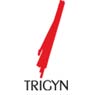 Trigyn Technologies Limited