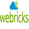 Webricks Innovations Pvt. Ltd