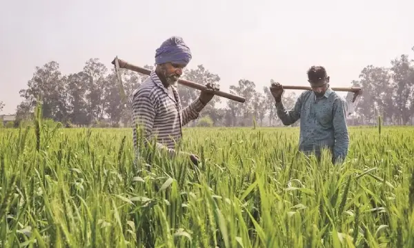 BJP announces Rs 10,000 annually for landless agri workers in Chhattisgarh