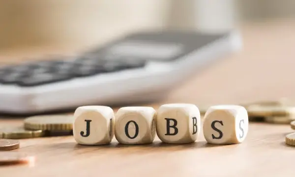 5% rise in non-tech white-collar jobs in June, no respite for IT sector