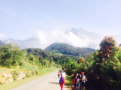 11 dead, 8 missing on Malaysian peak after quake: official