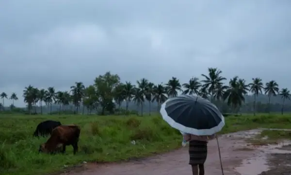 Monsoon rains over Kerala likely in next 48 hours, says IMD forecast