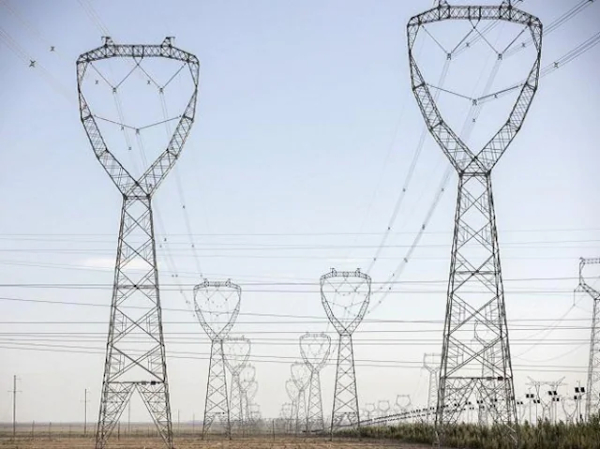 PowerGrid Corporation surges 5%, hits record high in a volatile market