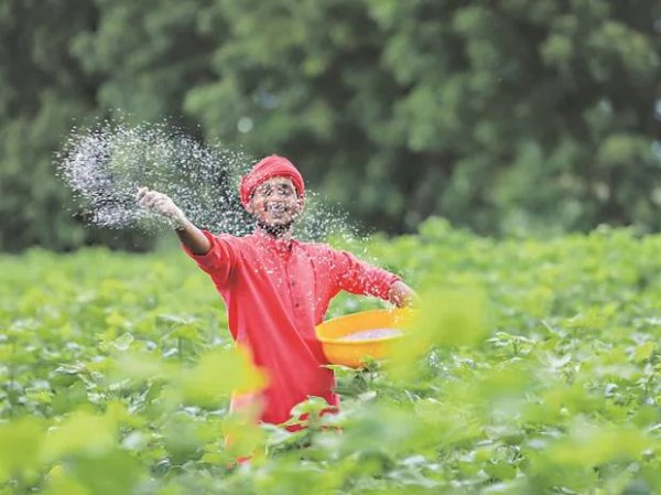 Deepak Fertilisers at new high on robust Q3 results, gains 60% in 1 month