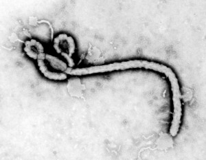US judge says nurse can leave home in Ebola row