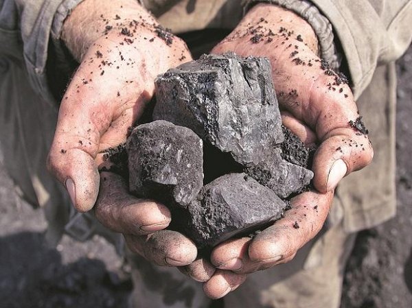 Adani group boosting coal assets despite carbon neutral pledge: Report