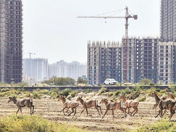 Telangana Assembly passes bills for landmark land reforms