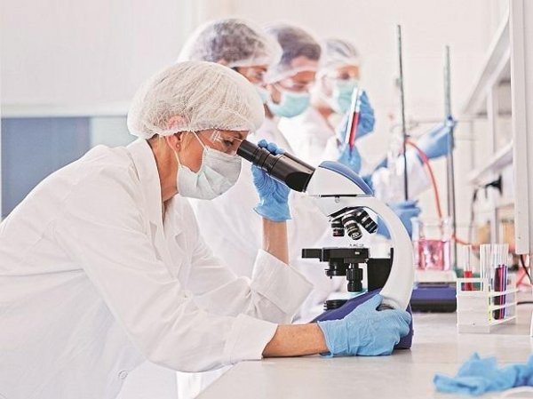 Shilpa Medicare slips 12% on USFDA warning letter for Telangana facility
