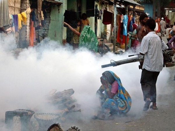 Delhi reports 139 cases of dengue in October so far, says SDMC