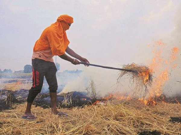 Delhi pollution level jumps to 'very poor' category amid stubble burning