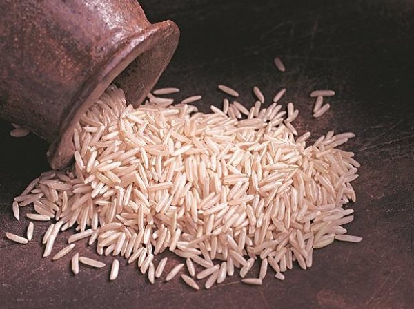Rice prices fall to 5-year low over weak rupee allow exporters to cut rates