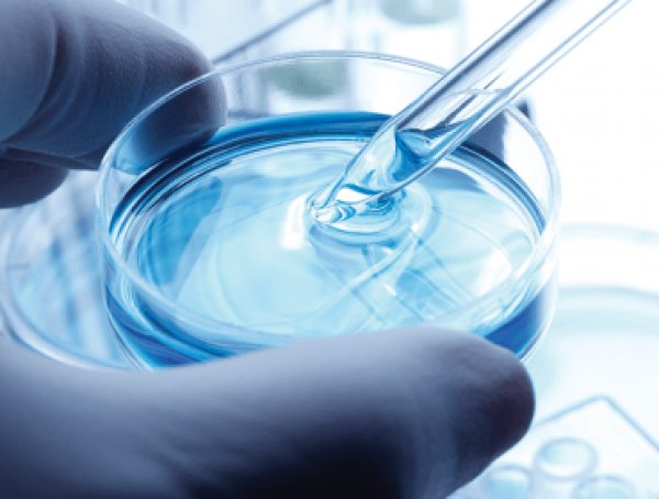 Vijaya Diagnostic off to quiet start, lists at 2% premium over issue price