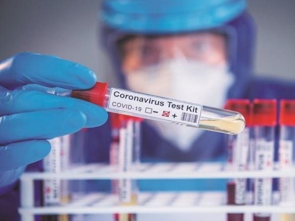 Andhra Pradesh coronavirus update: 4,000 more Covid cases, tally 763,000