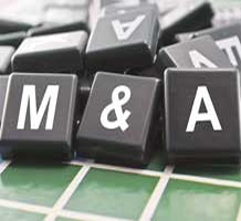 M&As hit a temporary bump under Modi
