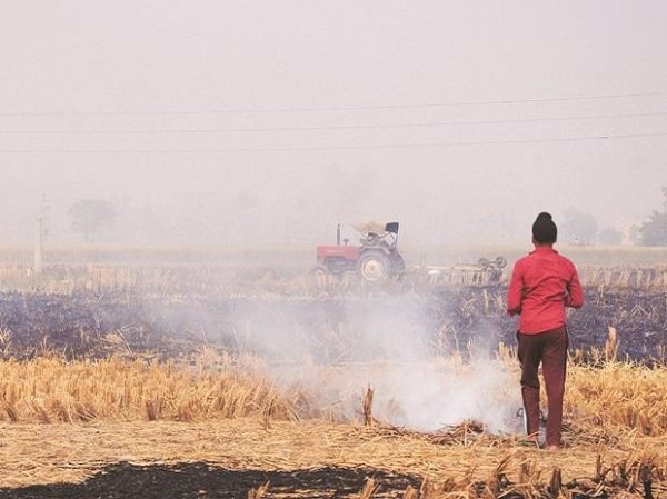 Punjab farmers continue to burn stubble, say govt has not provided aid