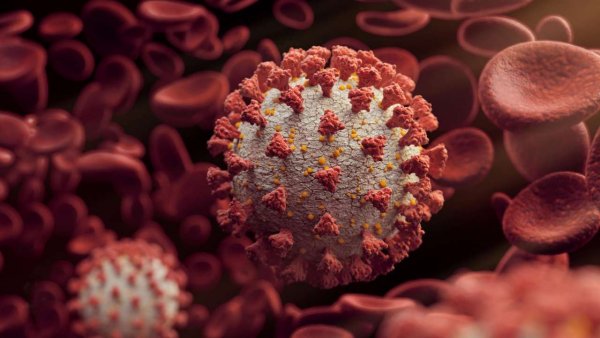 'New variant' of coronavirus identified in England as London set for toughest lockdown