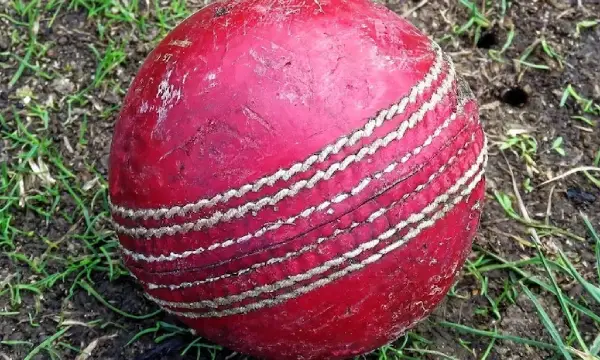 ICC makes helmets mandatory for high-risk positions; changes free hit rule