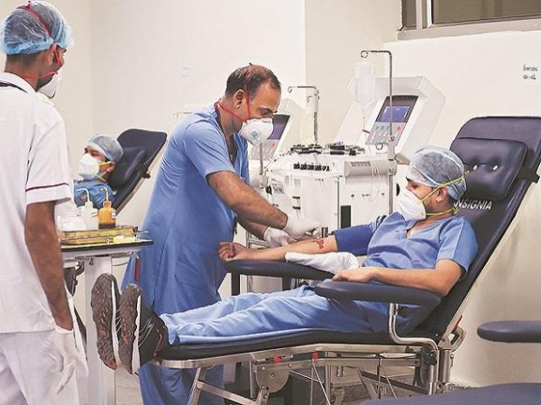 Covid-19 pandemic: Plasma therapy gets thumbs down from expert panel
