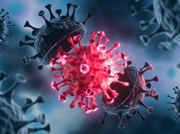Delta variant constitutes over 6% of tested Covid cases in NYC: Health dept