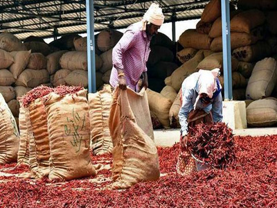 ITC to develop value chain for chilli growers in Andhra Pradesh