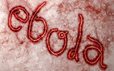 World Bank approves $285 million to fight Ebola