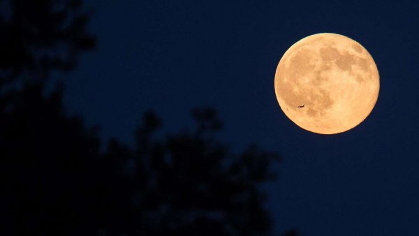 Man receives 'land on moon' as a gift from his company for his hard work