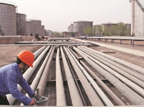 Gujarat Gas surges 7%, nears 52-week high on strong Q4 results