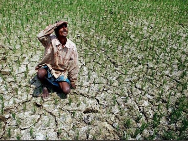 Odisha records highest rainfall deficiency in monsoon in 23 years