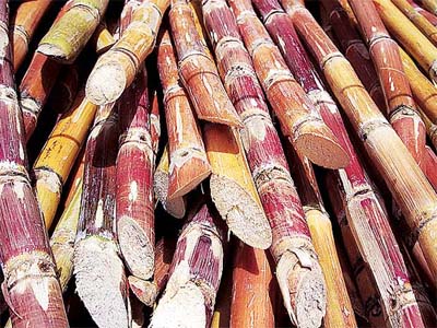After 3 years of trying, India to achieve 5% ethanol blending