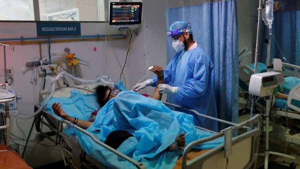 After black fungus, white fungus infection cases reported in India - Know why it is more dangerous