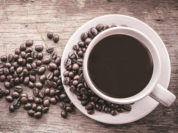 Tata Coffee logs new all-time high; stock zooms 60% in a month